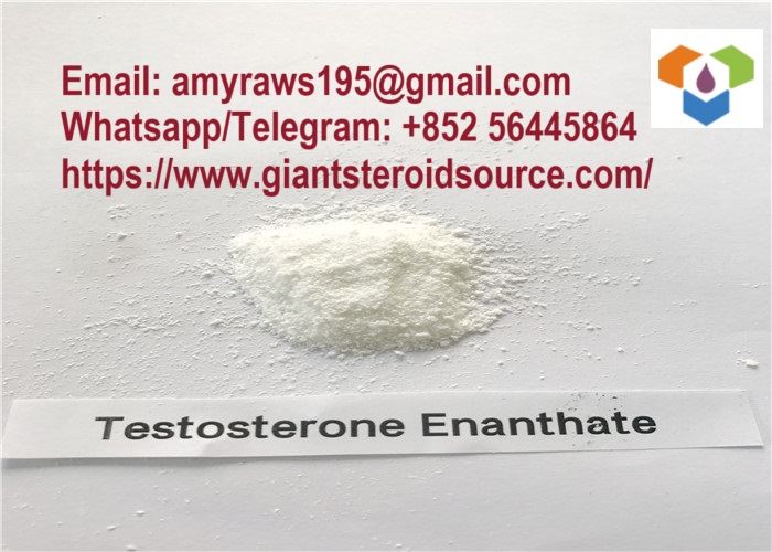 Testosteronas Enanthate žaliavinio milteliai