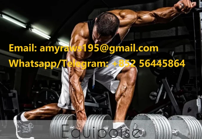 info-686-472 info-686-472