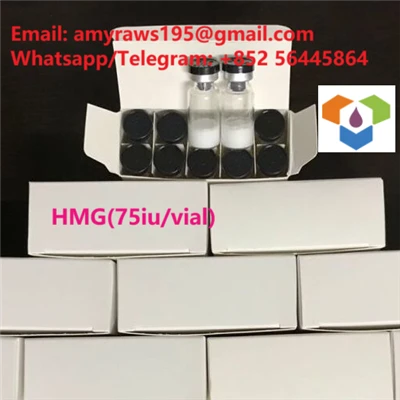 Peptidai HMG 75IU/Vial